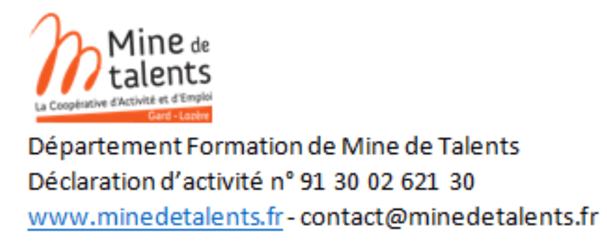 Logo Mine de Talents Logo Mine de Talents