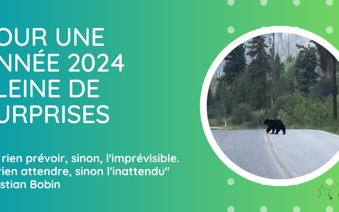 Une année 2024 pleine de surprises !