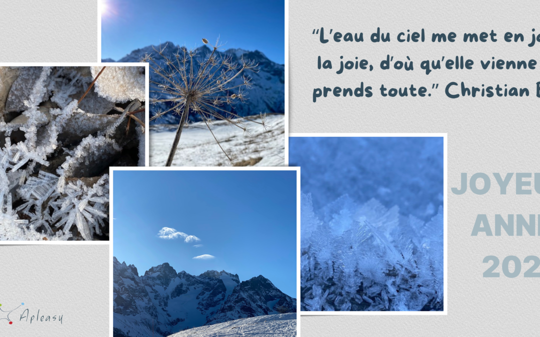 Je vous souhaite une joyeuse année 2026 !